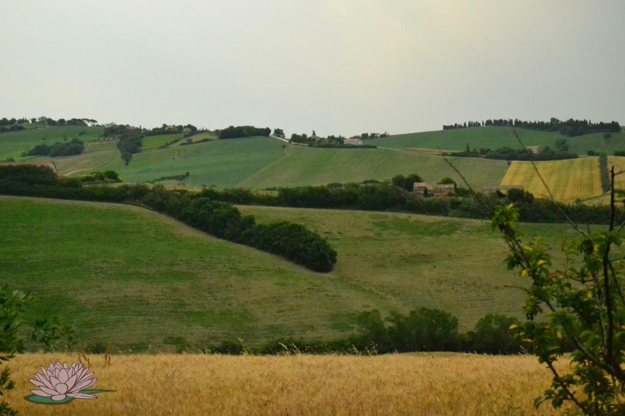 B&B Le Tamerici San Giorgio di Pesaro Экстерьер фото